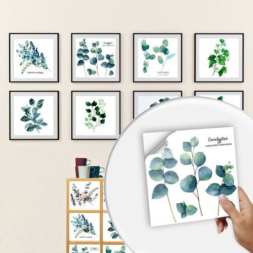 Copri piante eucalipto set - piante,